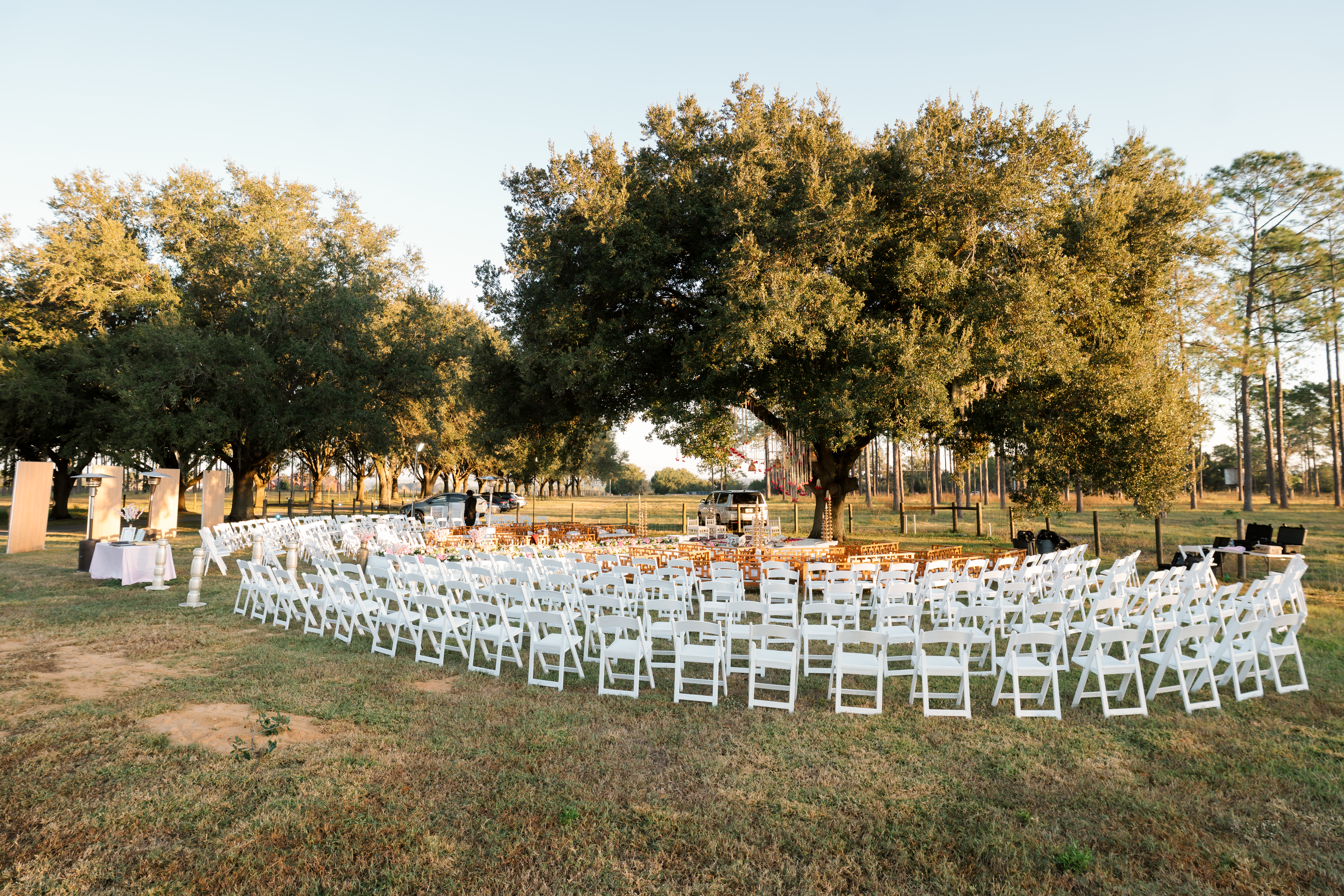 Table Setting